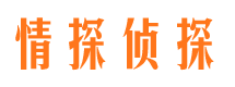 武川外遇出轨调查取证